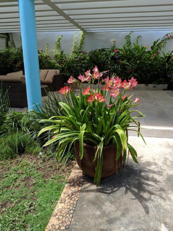 Casa Xcanatun Mérida Exterior foto